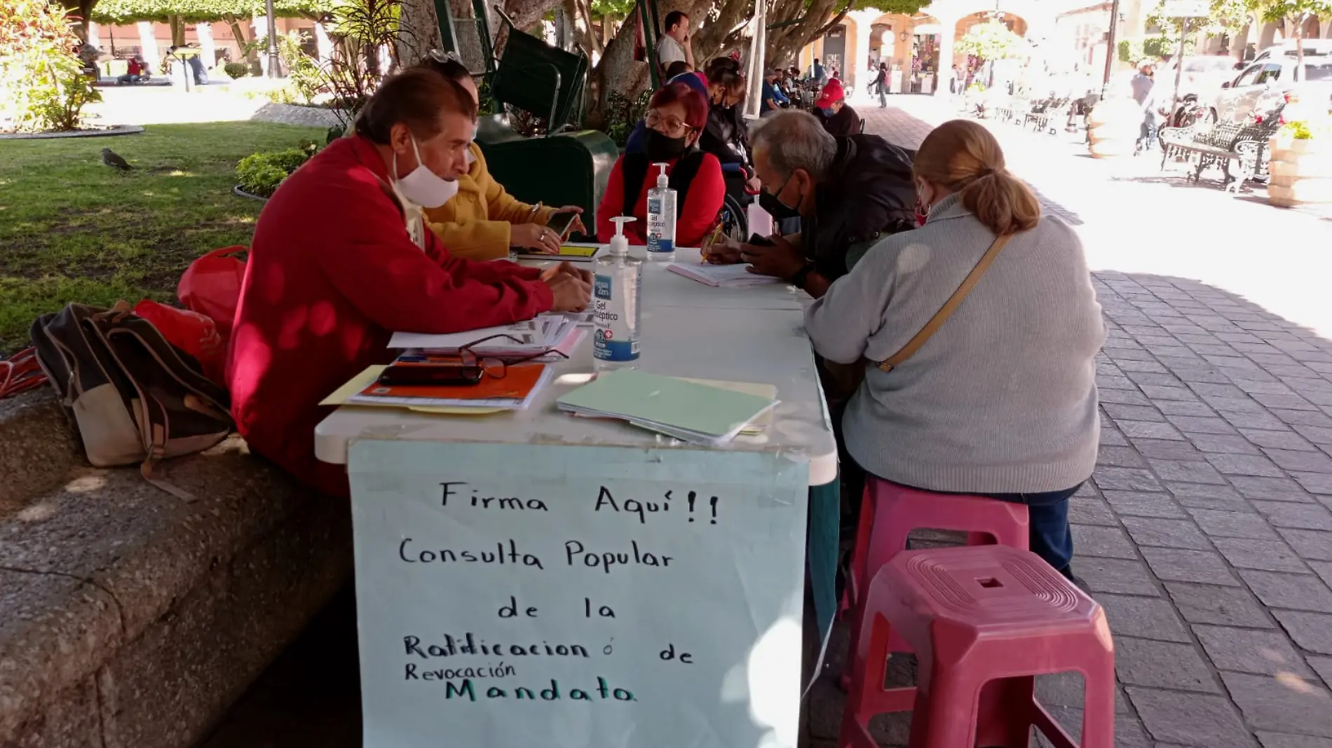 Consulta ciudadana (2)